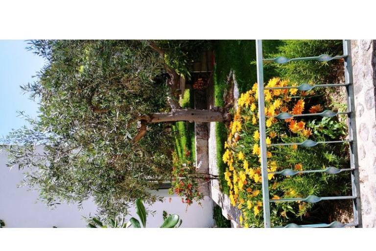 Apartmani Mršić – foto 6