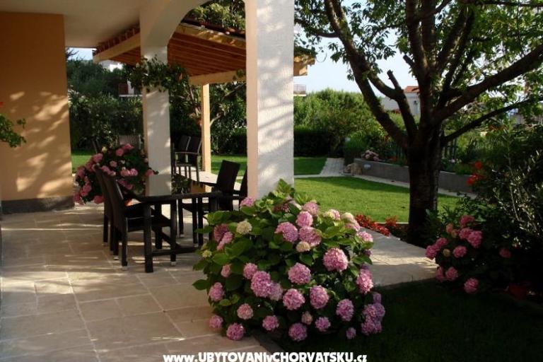 Apartmani Sara i Nino – foto 2