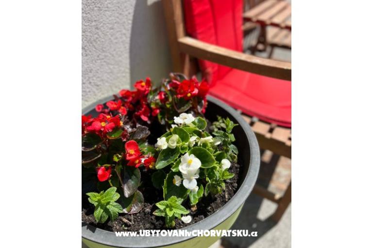 Apartman lux with garden – foto 20