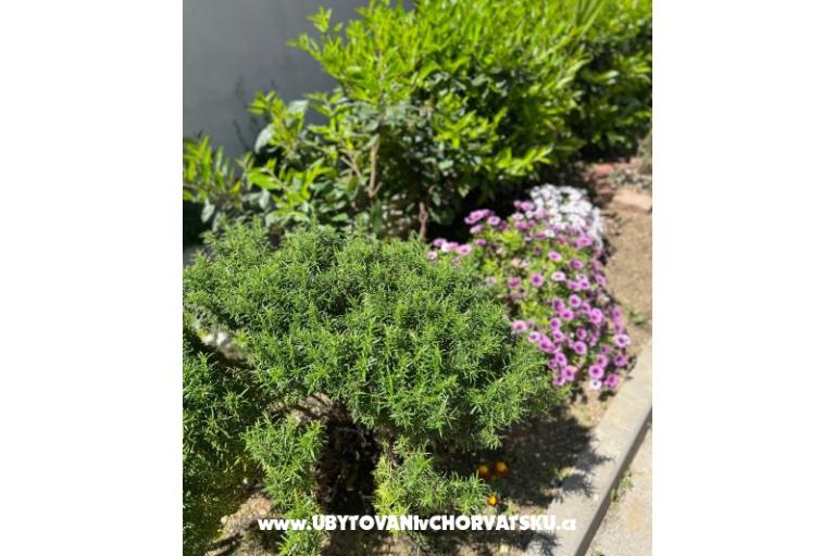 Apartman lux with garden – foto 24