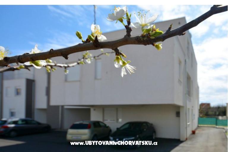 Apartman lux with garden – foto 26