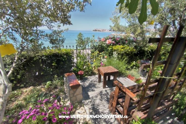 Apartmani Cappuccino   – foto 15