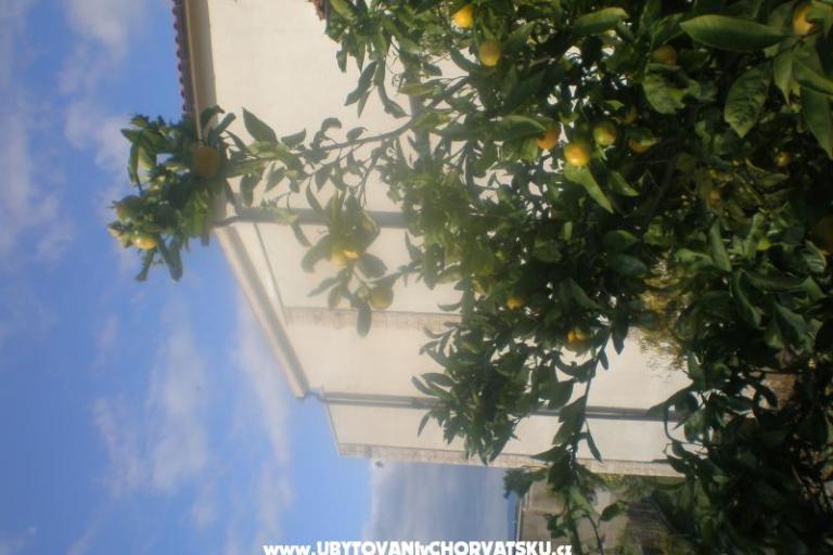 Apartmani Mandarić  – foto 15