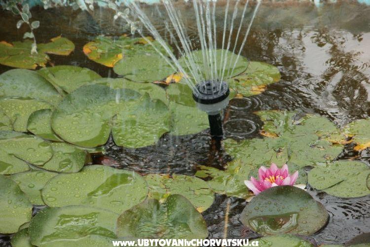 Beach Apartmani Toni – foto 16