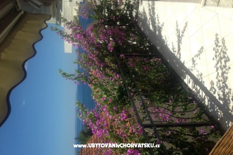 Apartman Gusic – foto 12