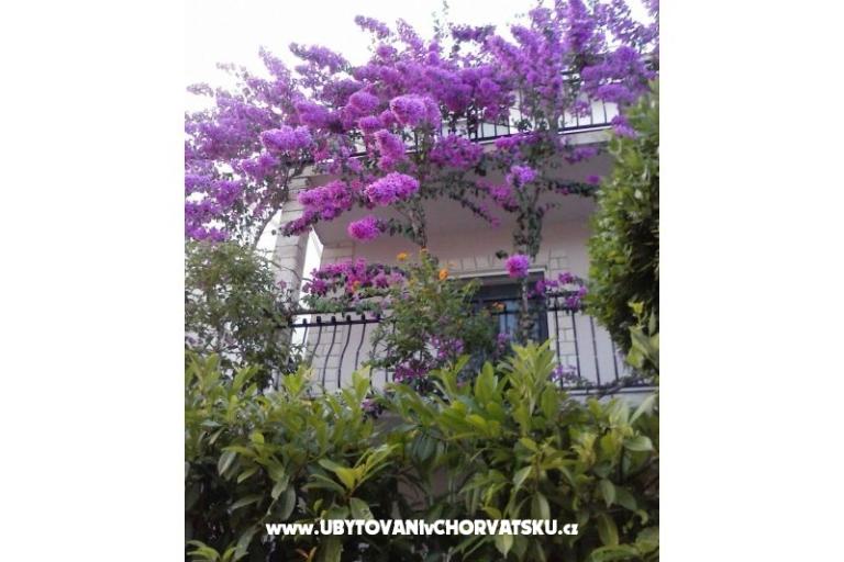 Apartman Gusic – foto 8
