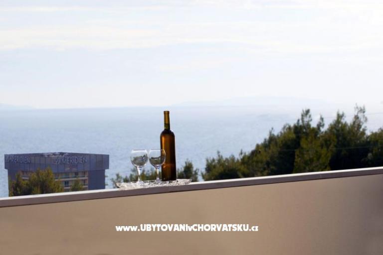 Spartium – foto 7
