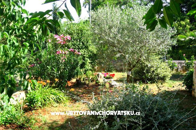 Apartman Nadia – foto 14