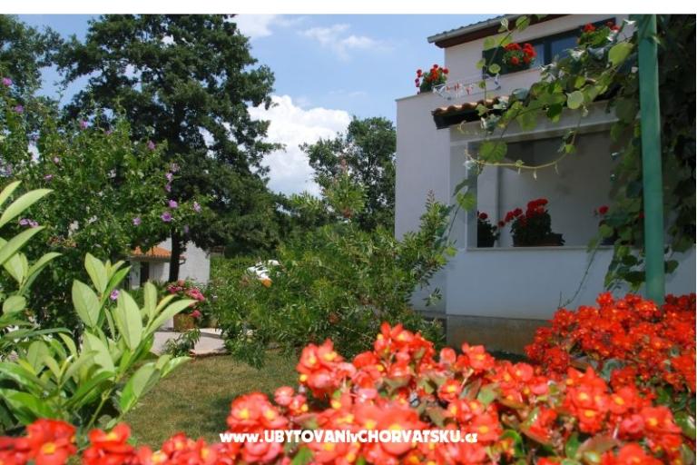 Apartmani Bauk – foto 3
