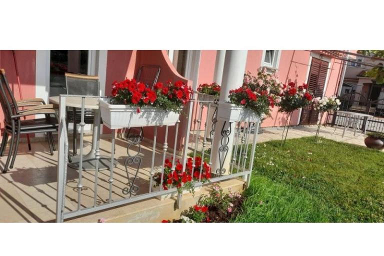 Apartmani Dragica! – foto 26