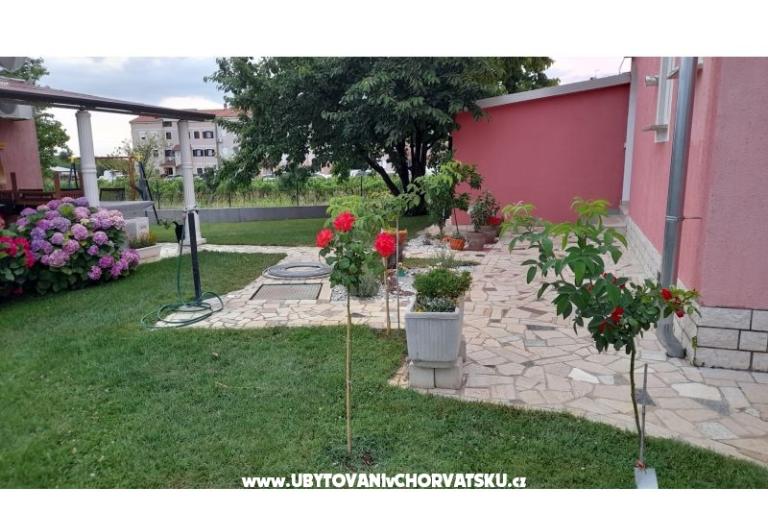 Apartmani Dragica! – foto 4