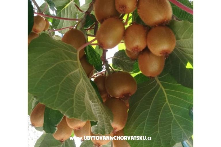 Apartmani Lucija – foto 14