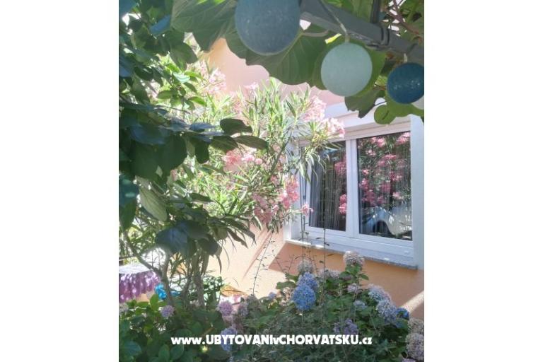 Apartmani Lucija – foto 15