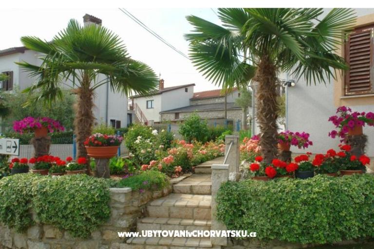 Apartmani Milokanović – foto 4