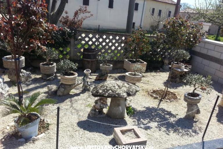 Apartmani KRAMAR – foto 5