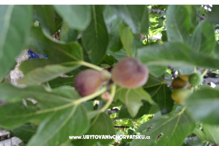 Apartmani Lera – foto 7