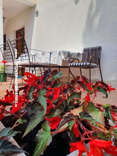 Apartmani Kero – foto 12