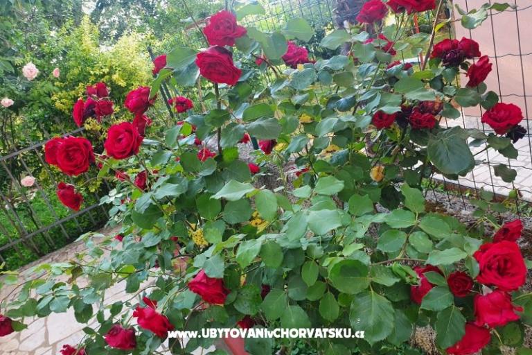 Apartmani Kero – foto 15