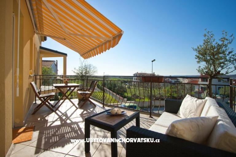 Rosini Premium – foto 2