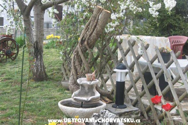 Oriana – foto 10