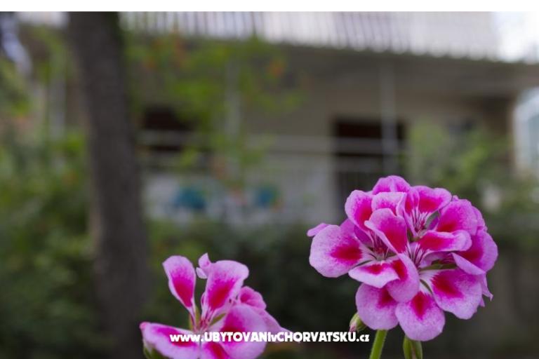 Apartmani Porat - PRIMOŠTEN – foto 2