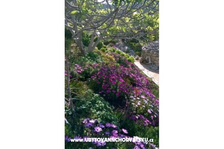 Apartmani   Luka – foto 10