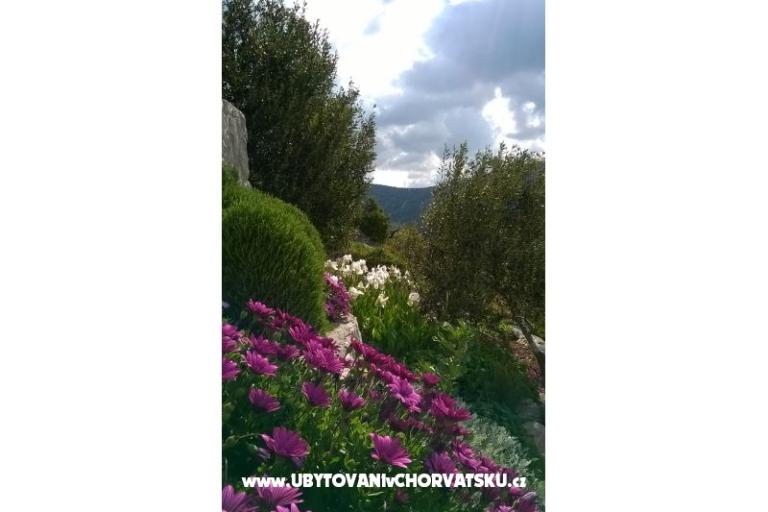 Apartmani   Luka – foto 11