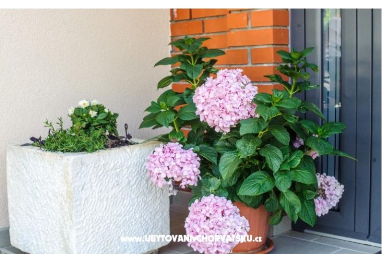 Apartmani Andreja – foto 3