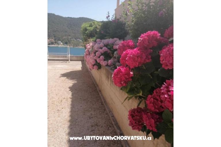 Apartmani ANTONIA – foto 8