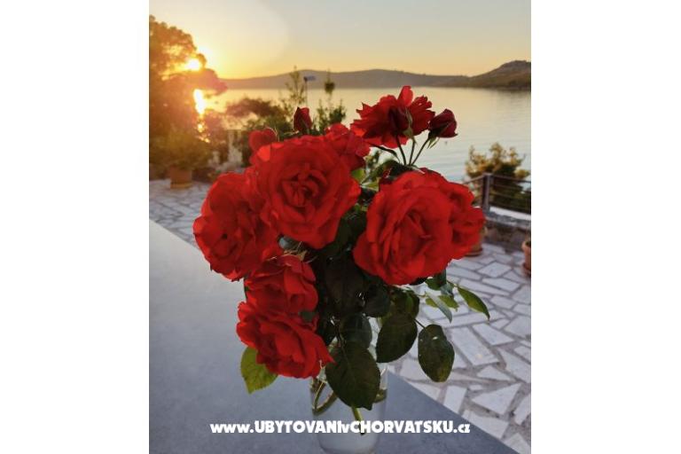 Apartmani Šarin – foto 7