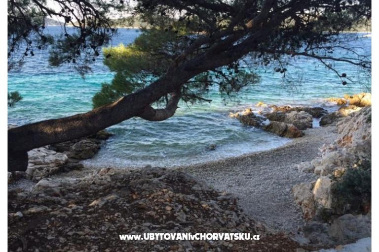 Apartmani Zorka Primošten – foto 14