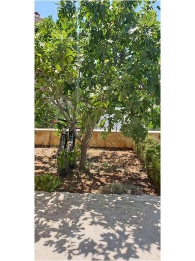 Apartmani Jambrovic – foto 22