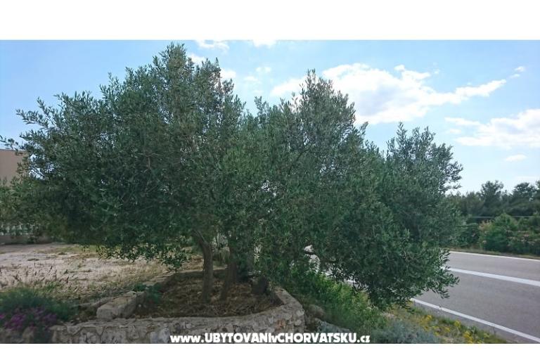 Apartmani Kocka  – foto 10