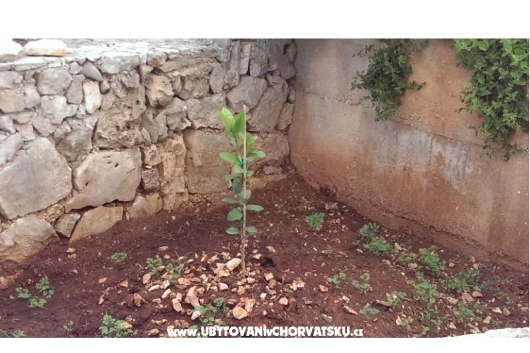 Primosten Apartmani Rest place – foto 6