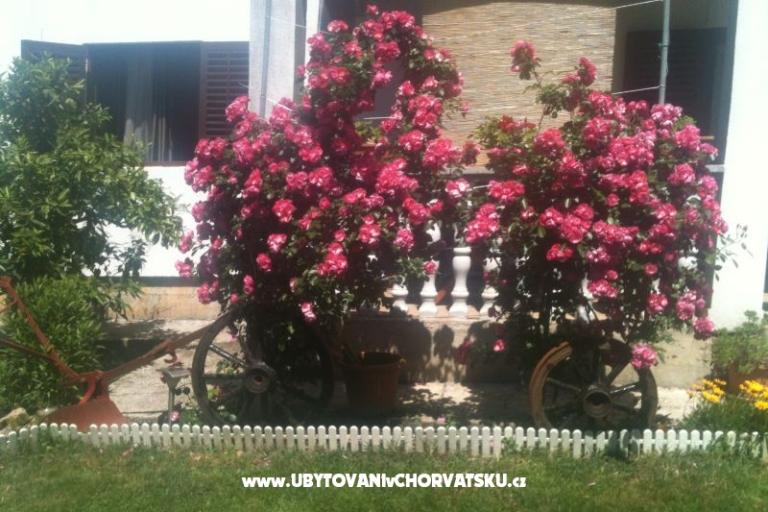 Apartman Luka – foto 15