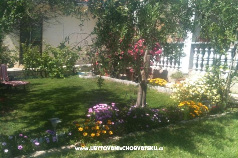 Apartman Luka – foto 16