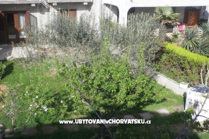 Apartman Mirko – foto 17