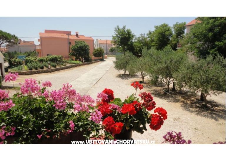 Apartmani Ankica – foto 9