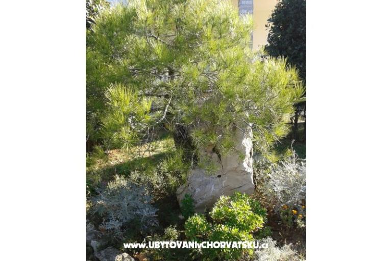 Apartmani Mare & Berto – foto 4