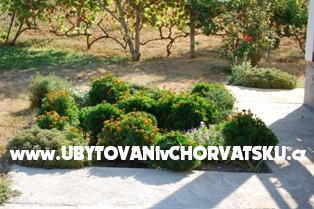 Apartmani Ivan – foto 16