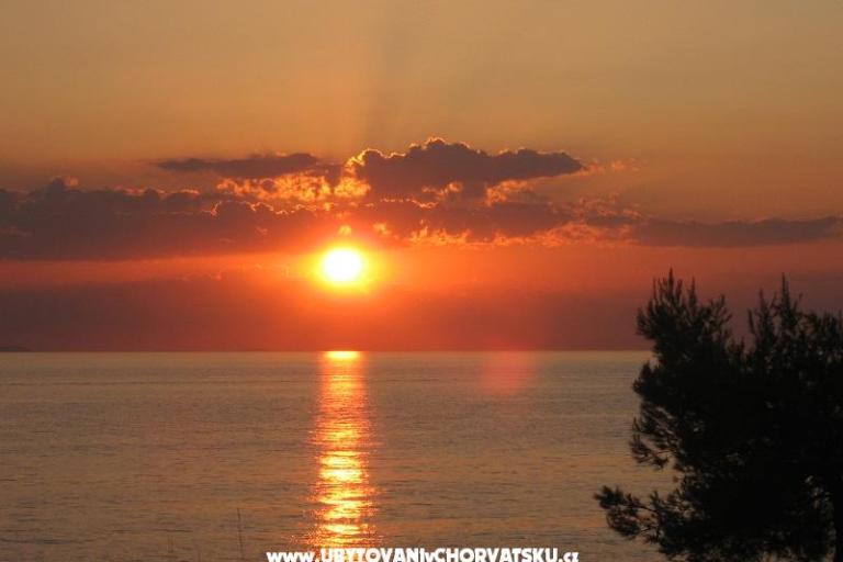 Apartmani  Providenca – foto 14