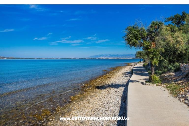 Apartmani Punta – foto 8