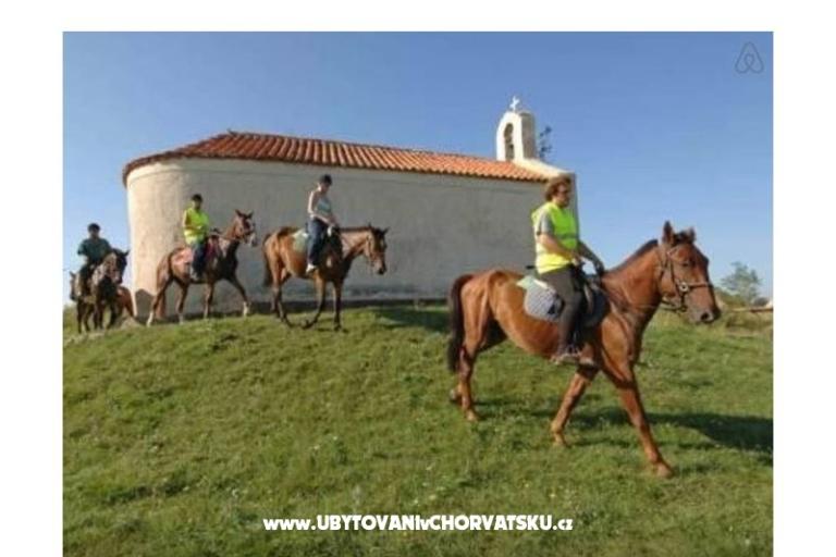 Apartmani Šarić – foto 9
