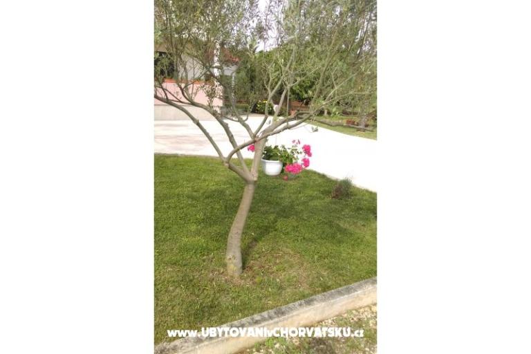 Apartmani Tomi – foto 9