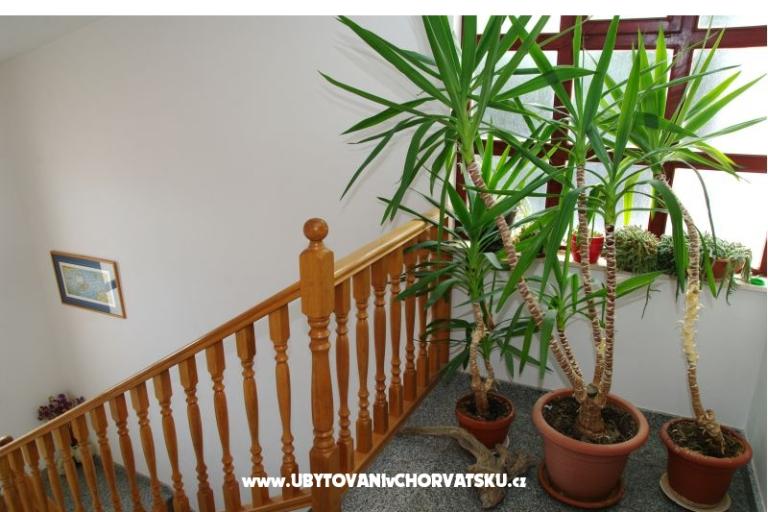 Apartmani Mario – foto 9