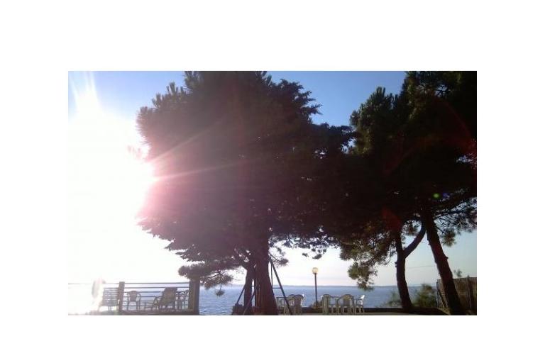 Apartmani Šime – foto 3