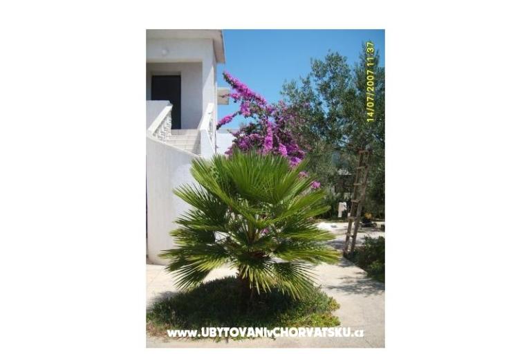 Apartmani Šime – foto 5