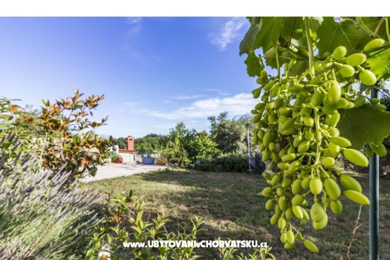 Apartman Mika – foto 12