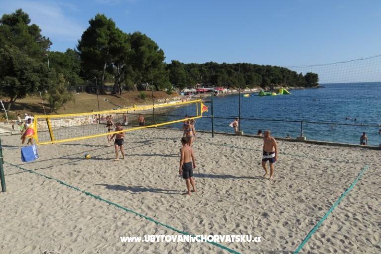 Apartman Stoja – foto 12