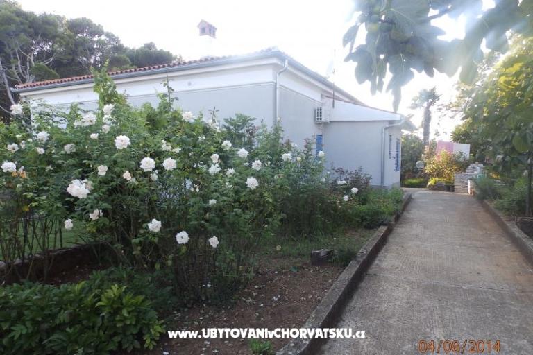 Apartman Valdebek – foto 16